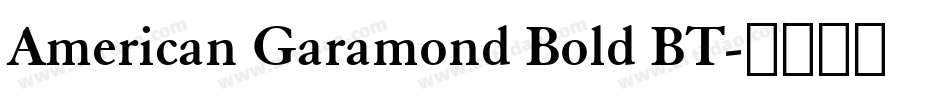American Garamond Bold BT字体转换